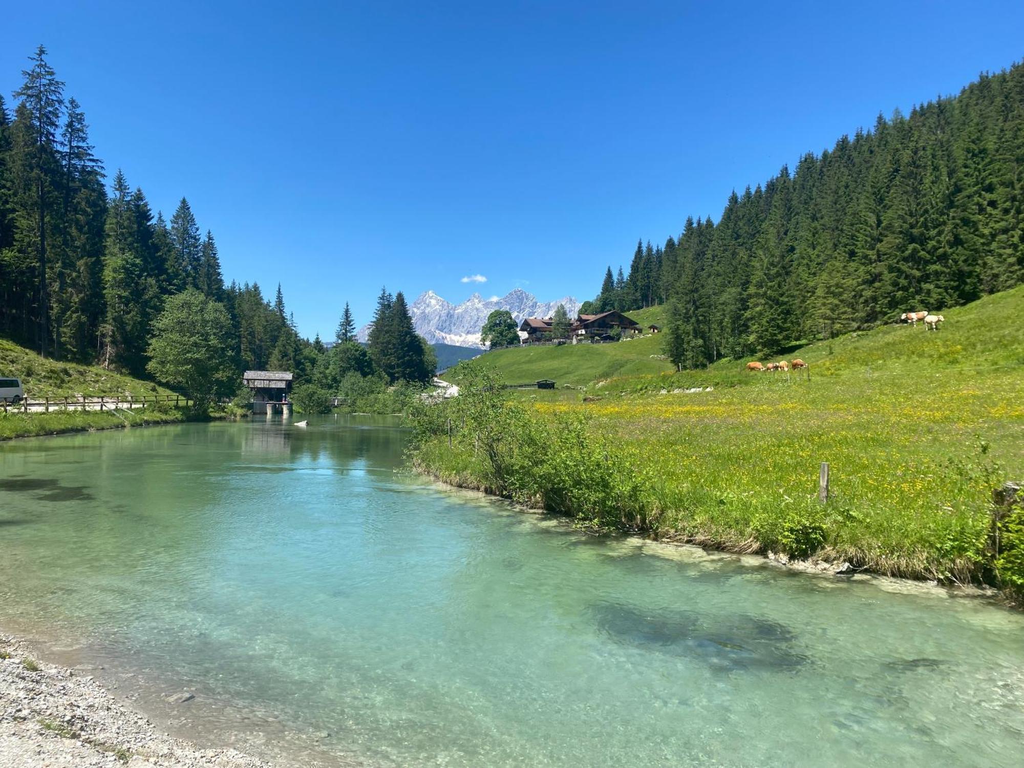 Appartements By Chalet Reiteralm - Sommercard Included Schladming Eksteriør billede